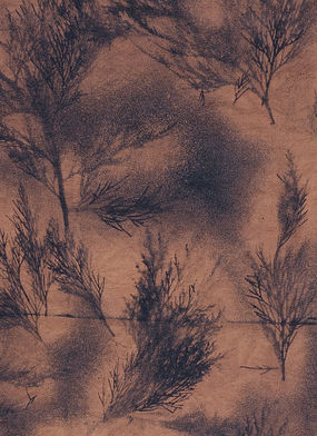 Cedar-bough fabric