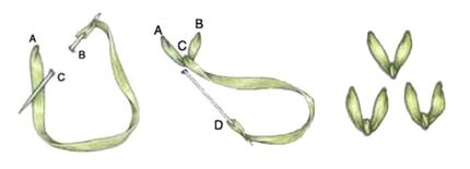 Fly stitch