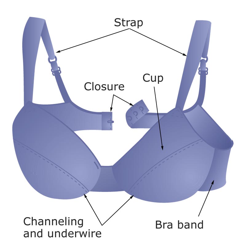 Anatomie d'un soutien-gorge