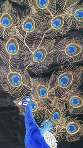 peacock embroidered shawl
