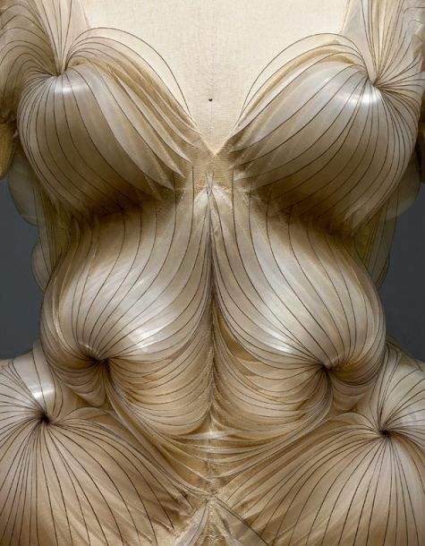 Iris van Herpen 2012