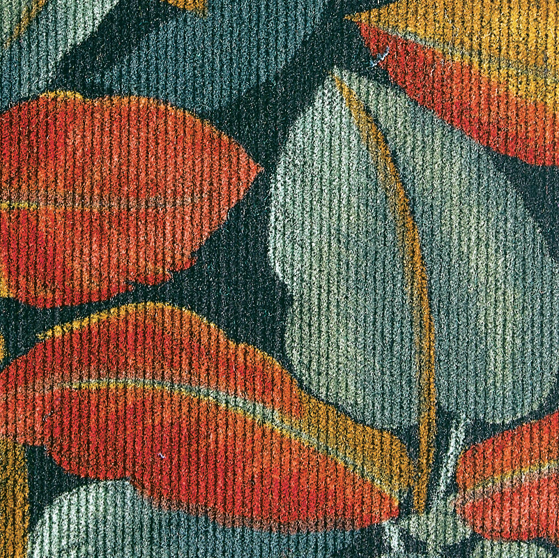 Corduroy #7