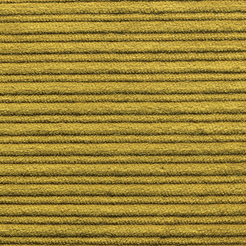 Corduroy #8