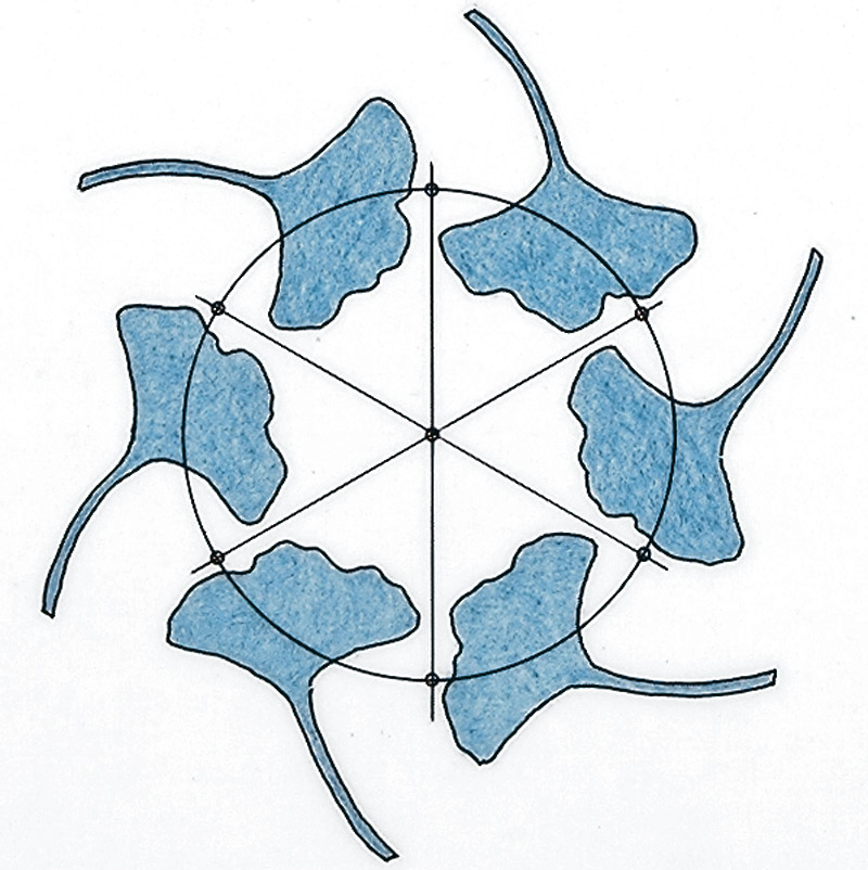 6-point rotated appliqués
