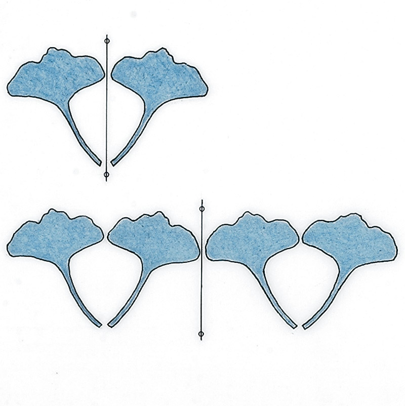 Adjacent motifs