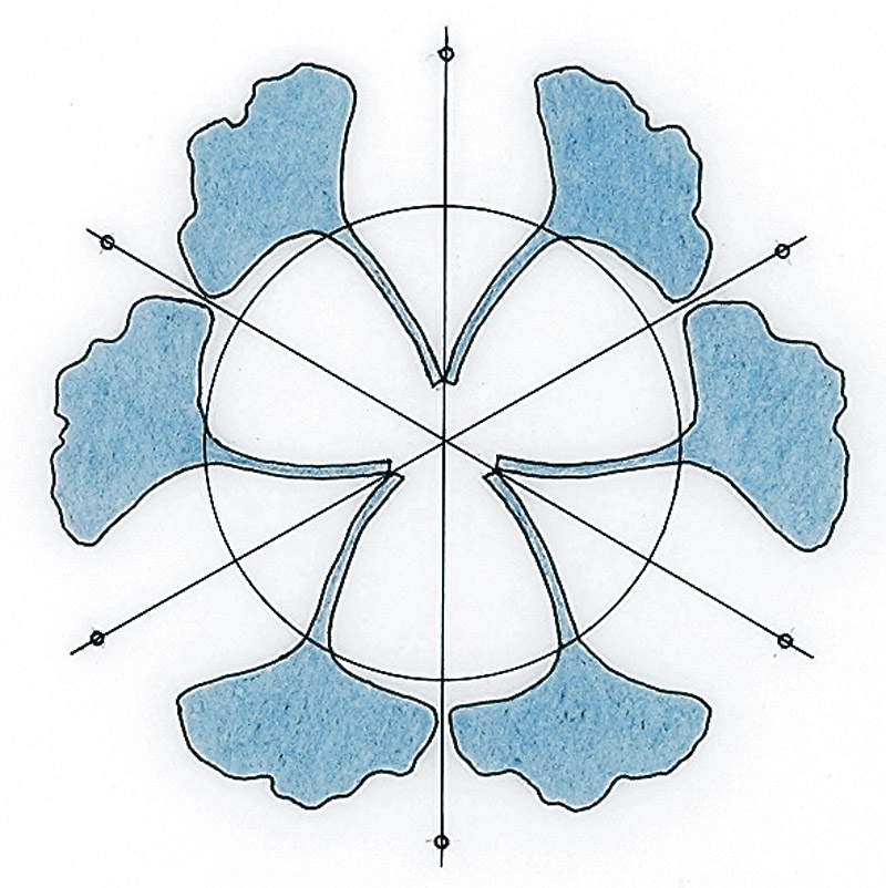Mirrored motifs
